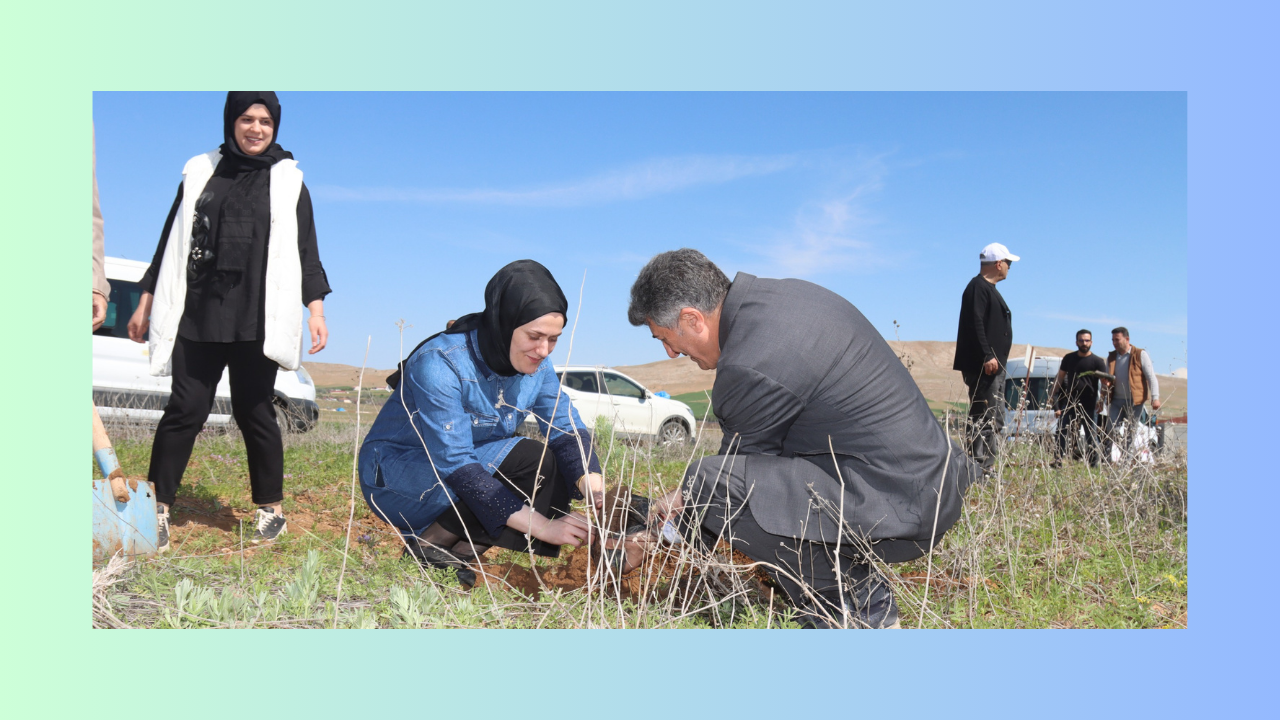 “Aile Yılı” Dolayısıyla “Aile Yılı Hatıra Ormanı” Oluşturuldu